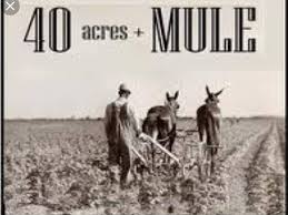 40 acres and a mule