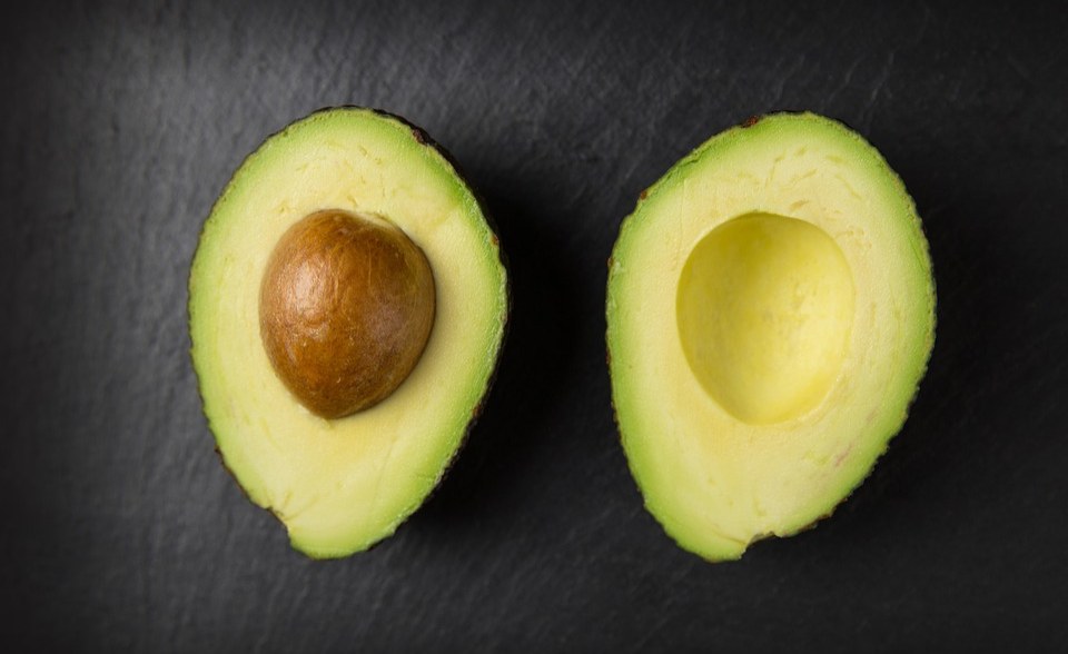 Africa: Green Gold - Avocado Farming On the Rise in Africa