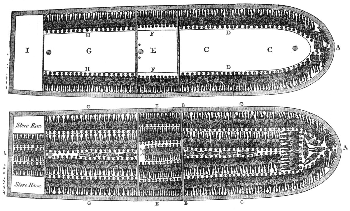 Slave Ship Diagram
