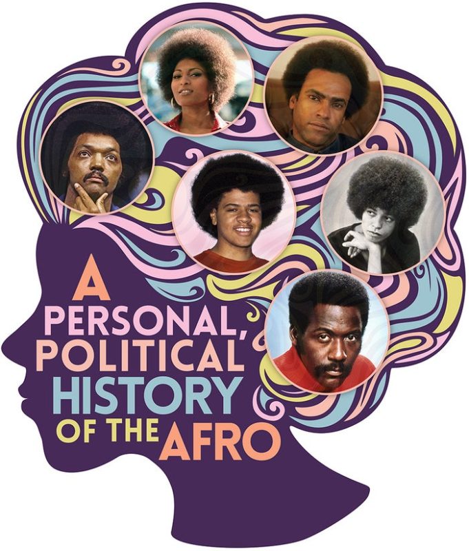 a personal and political history of the afro img 68ba50c4eb229