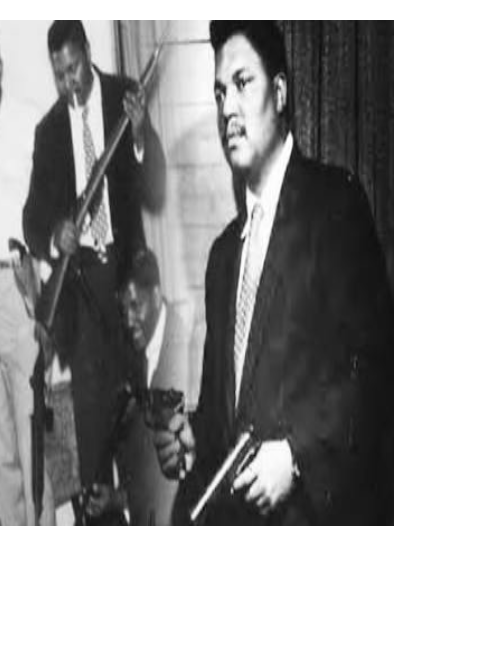 Armed Self-Defense in the Black Freedom Struggle